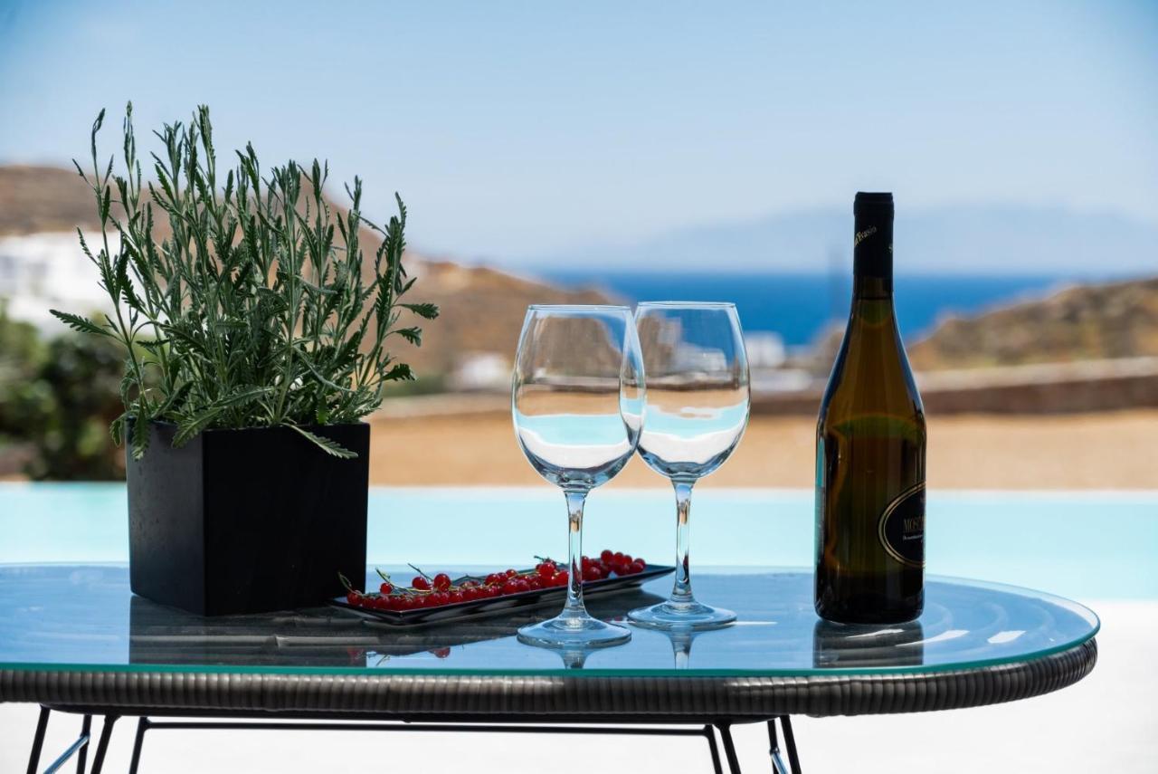 פאראגה Dioni Villa Mykonos מראה חיצוני תמונה
