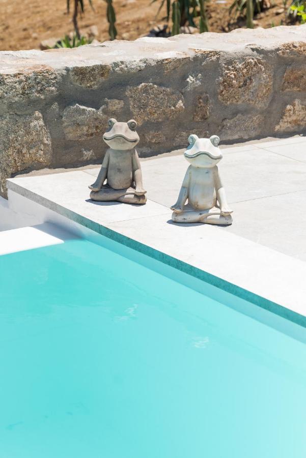 פאראגה Dioni Villa Mykonos מראה חיצוני תמונה