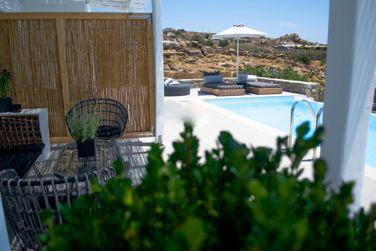 פאראגה Dioni Villa Mykonos מראה חיצוני תמונה