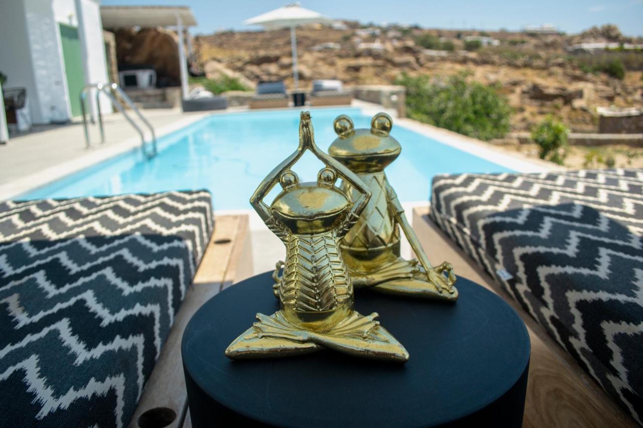 פאראגה Dioni Villa Mykonos מראה חיצוני תמונה
