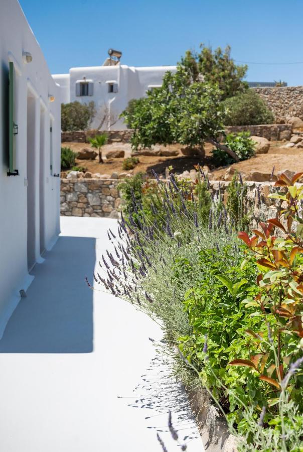 פאראגה Dioni Villa Mykonos מראה חיצוני תמונה